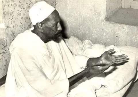 539553650 731370446396106 1520027198380055448 n